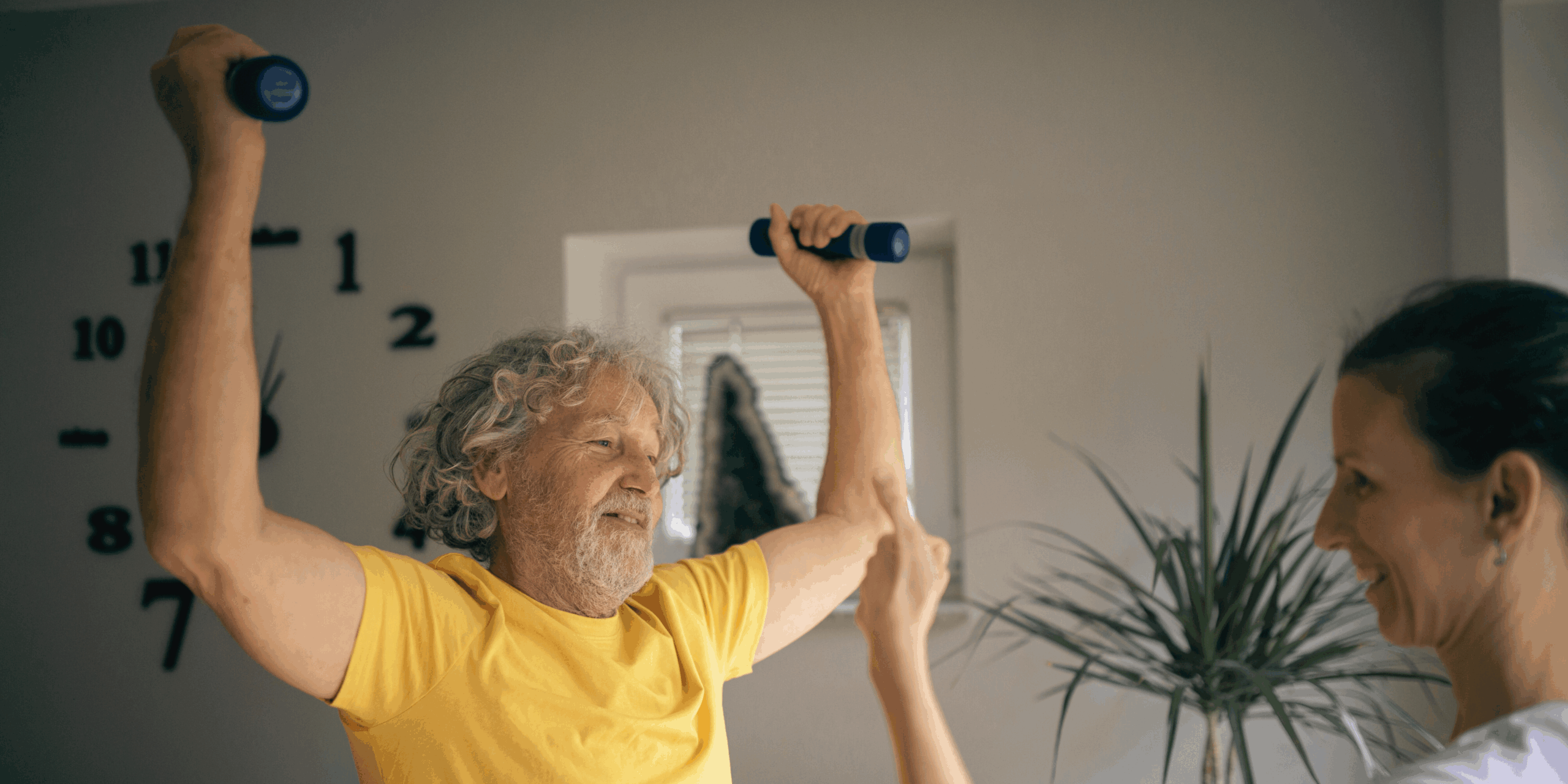 Copia de Sin título (1)